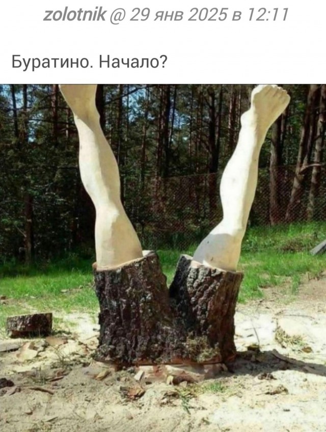 Нуштош 29.01.2025. Наблюдая за наблюдателями (s3e4)