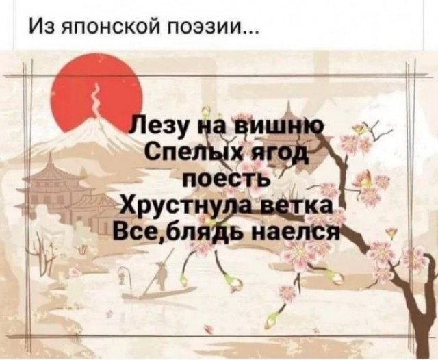 Так себе картинки 29.03.25