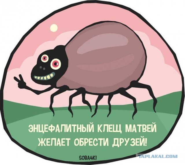Ну кайф же!