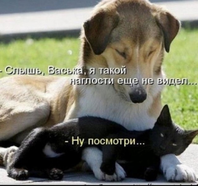 Хорошо, когда отдохнул на природе