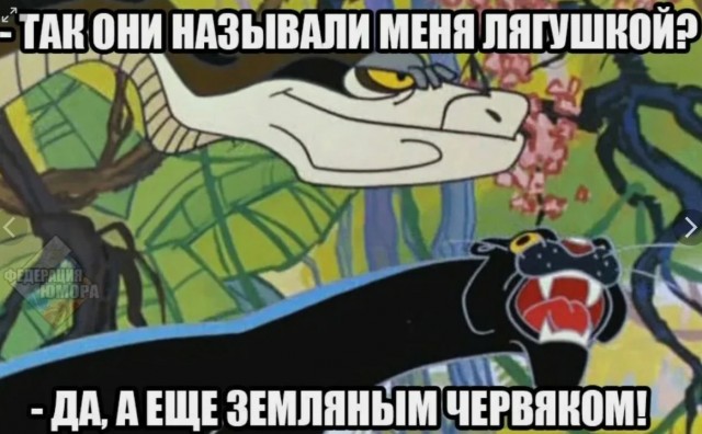 Сова принимает душ