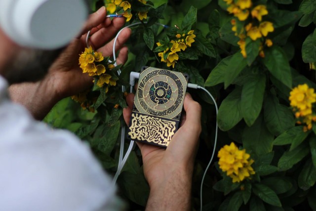 Друзья, послушайте...