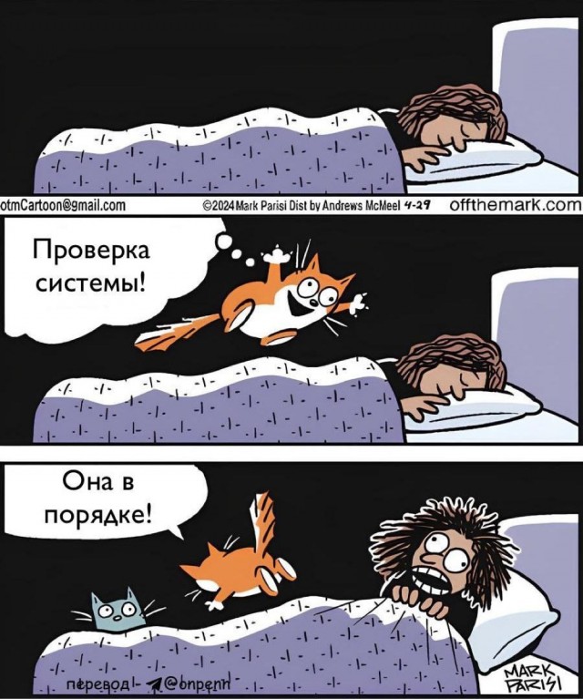 Картинок немного в среду утром