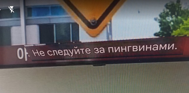 Немного картинок