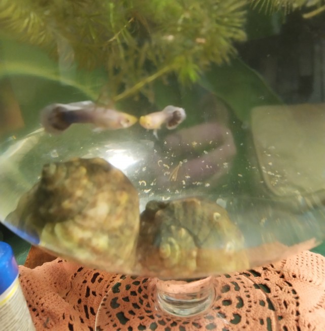 Как простить измену, если она была давно?