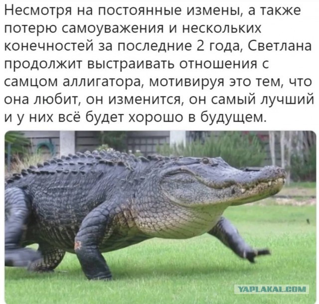 Главное - уверенность!