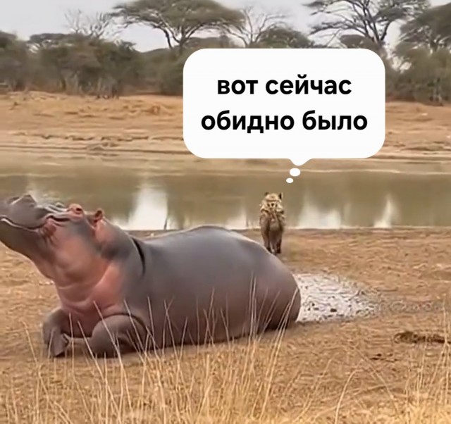 Неудачная попытка