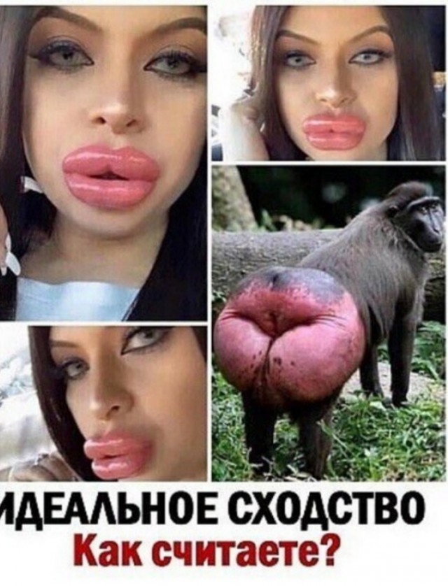 «Пьют пиво со своими бичами и пытаются меня оскорбить».