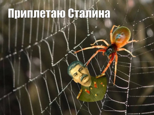 Какими браузерами программами можно делать скриншоты для суда? (что бы отображались мета данные)