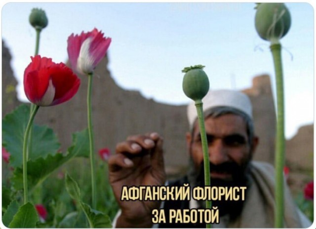 Среды картинки