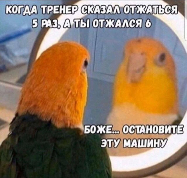 Картинки для деградации 200 (разной степени свежести)