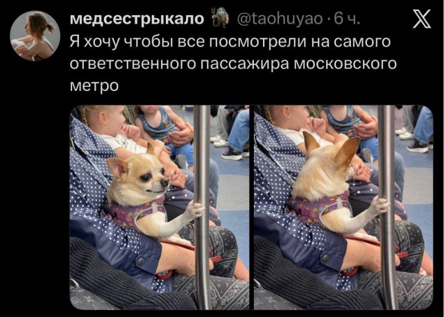 Видно, что знает правила безопасности в транспорте
