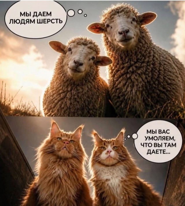 тРРРидцать тРРРи от 13 августа