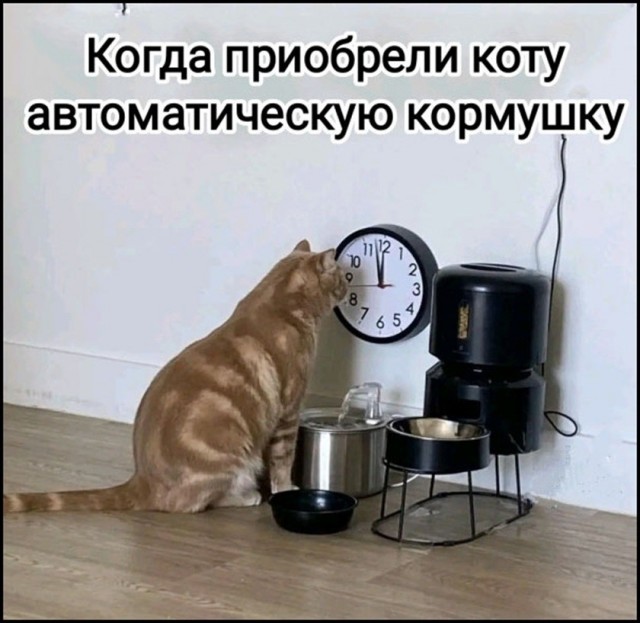Так себе картинки 03.09.26