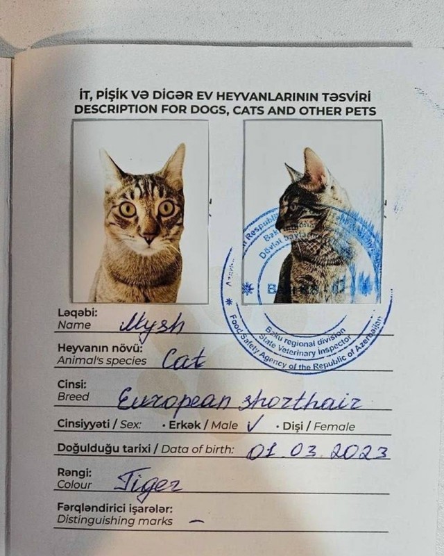 Так себе картинки 12.10.26