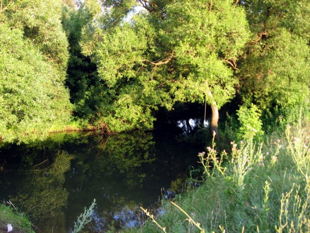 Поездка на Тамбовщину