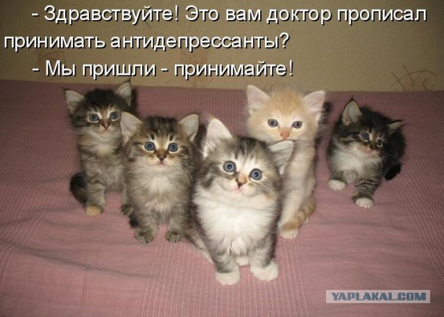Позитивные картинки