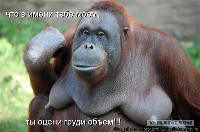 Выпускницы 2014