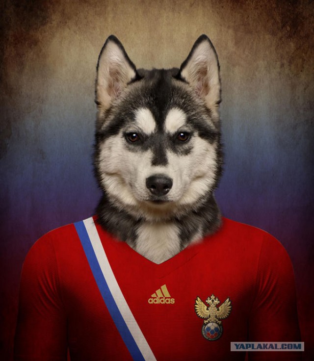 Чемпионат Мира 2014 Бразилия