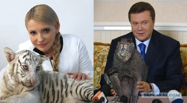 Наш пациент!