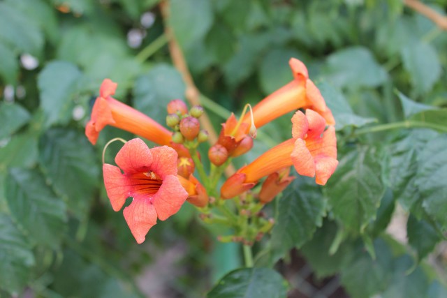 Отчёт о поездке в Крым 12.07 - 29.07