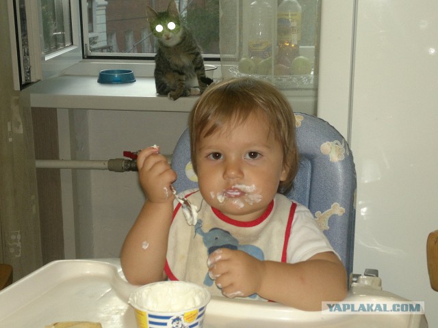 Кошка по имени Мышь