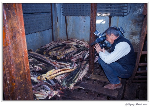 Каспийское море, Казахстан