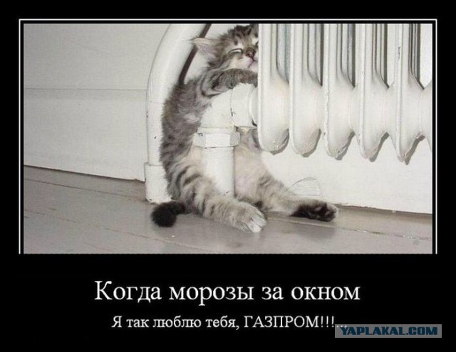 В тесноте, да не в обиде
