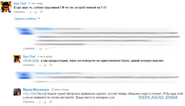 Бык на дороге и перцовый газ