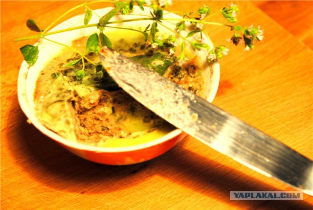 Коммунальные замУтки