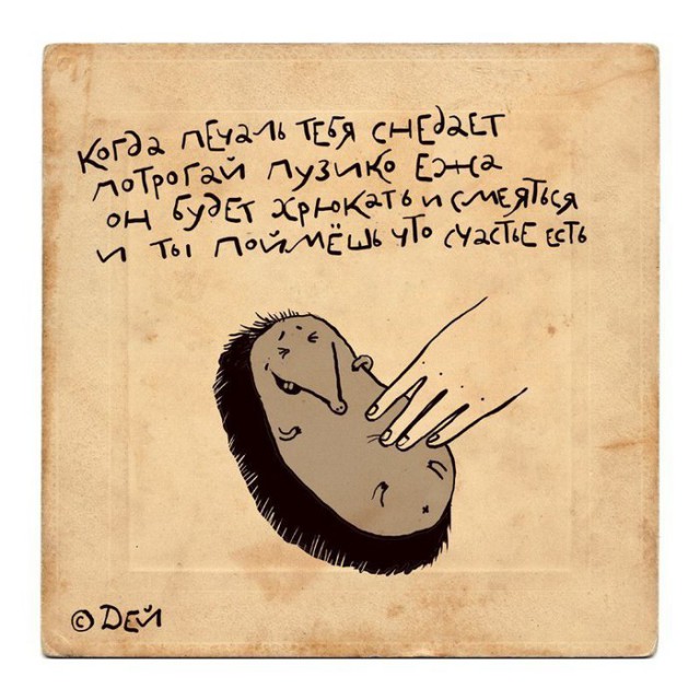 Эти странные, странные ёжики