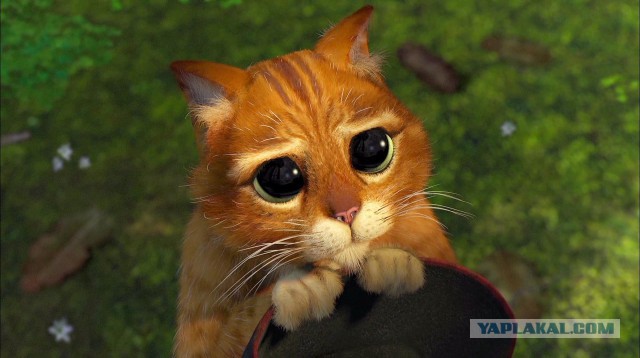 Когда зашел в Уголок падонка