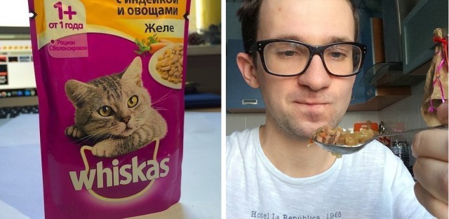 Редактор BuzzFeed попробовал 12 кошачьих кормов ради статьи