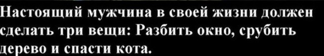 Ибо нечего обижать котов