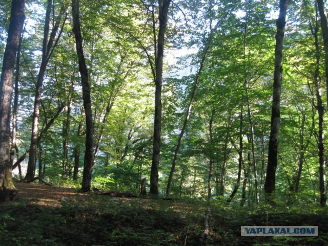 Через горы к морю (Кавказ)