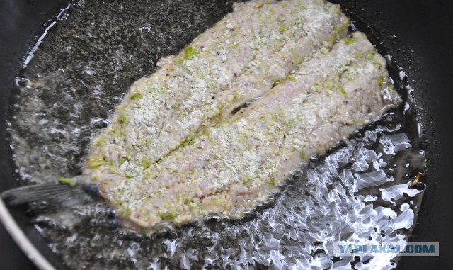 Посиделки под селёдку