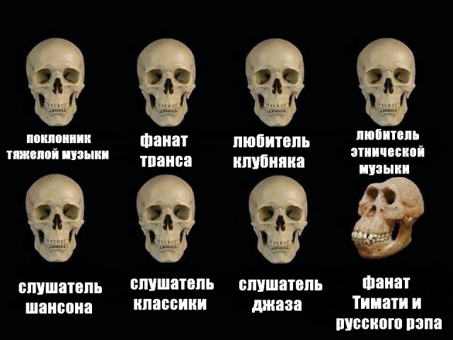Влияние тяжелой музыки на умственное развитие человека