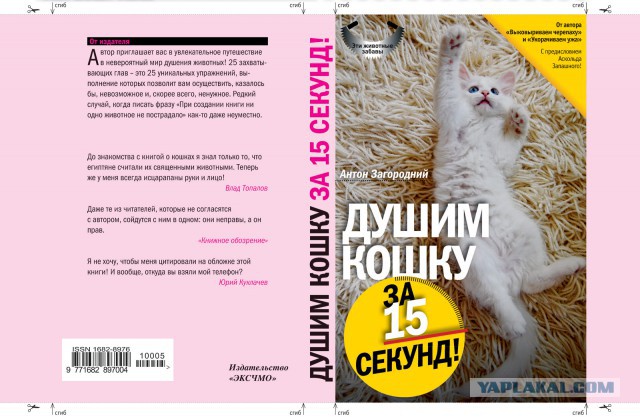 Абсурд зашкаливает