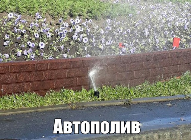 Смешные картинки