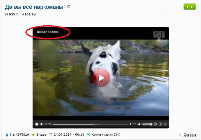 Да вы всё наркоманы!