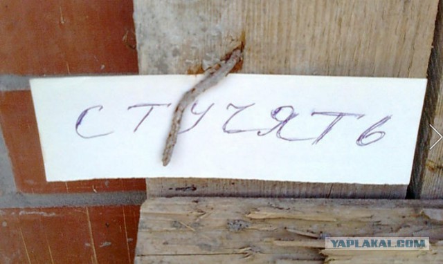 Уровень грамотности просто зашкаливает
