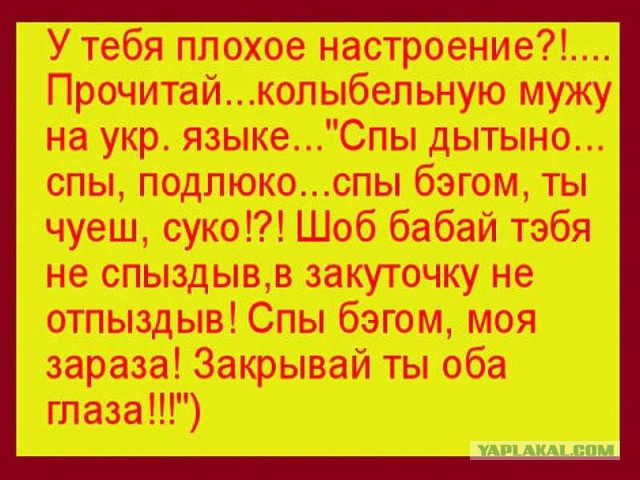 Подборка интересных и веселых картинок