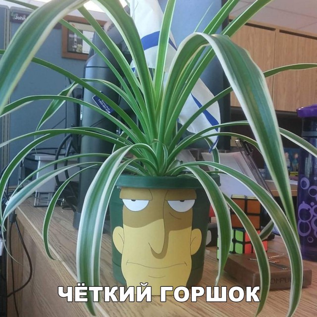 Нестандартный юмор