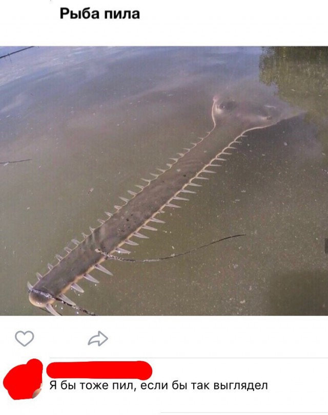 Немного картинок в эту среду