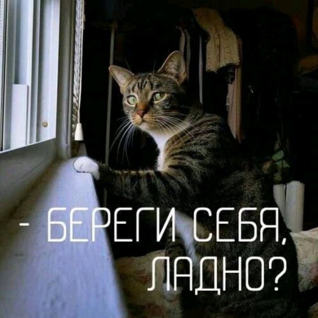 Прикольные картинки абавсём