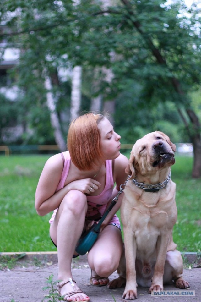 Собакочетверг