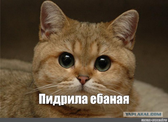 Ты хочешь быть ничего не должна мне?
