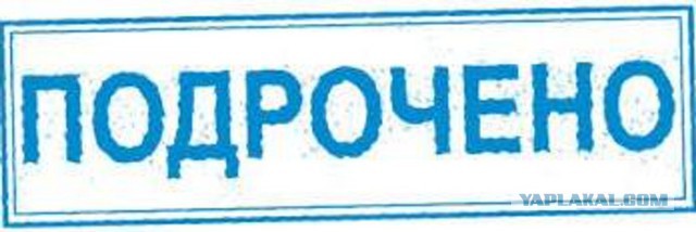 Подборка интересных и веселых картинок 08.02.19