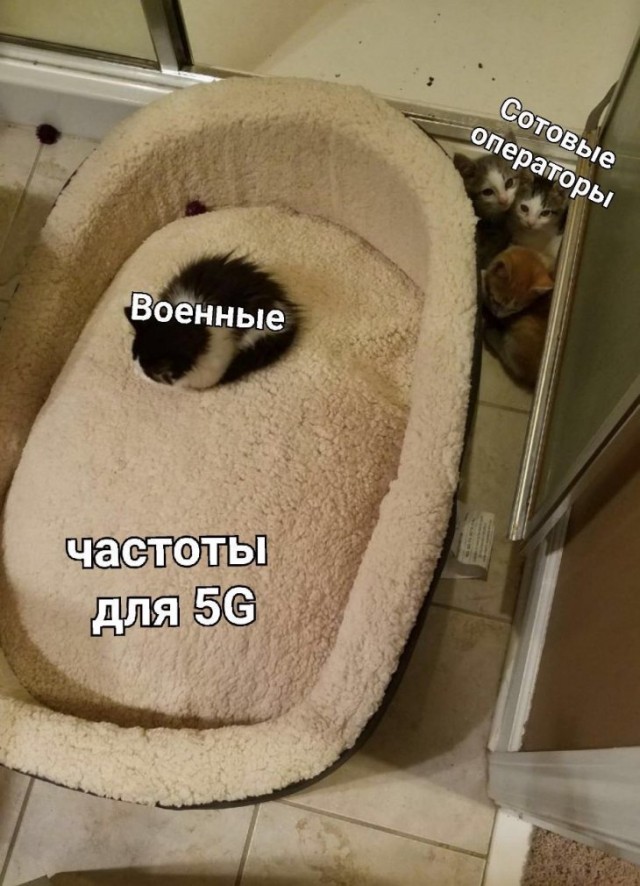 Немного картинок для настроения