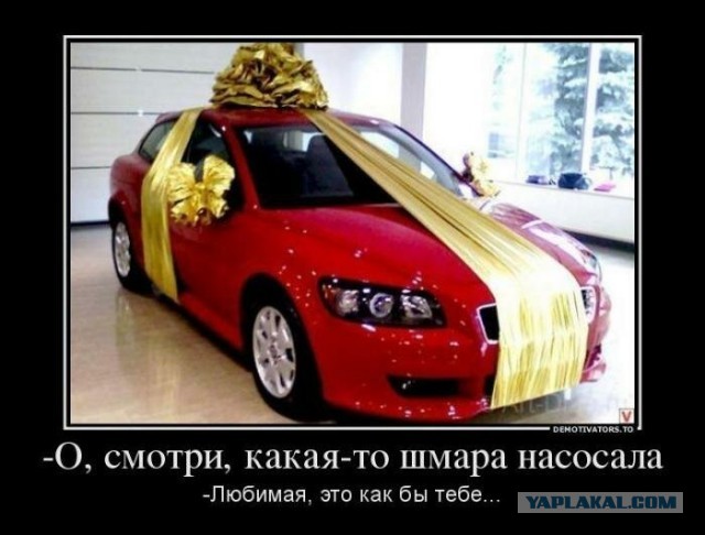 Я оказывает не только стар, но и нищеброд. Новая помощница